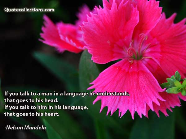Nelson Mandela Quotes1